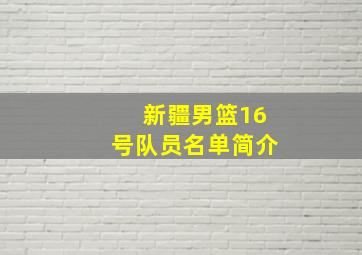 新疆男篮16号队员名单简介