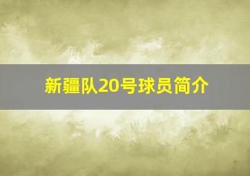 新疆队20号球员简介