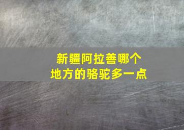 新疆阿拉善哪个地方的骆驼多一点