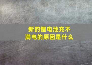 新的锂电池充不满电的原因是什么