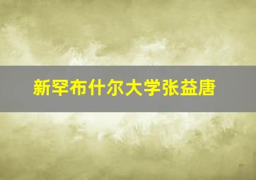 新罕布什尔大学张益唐