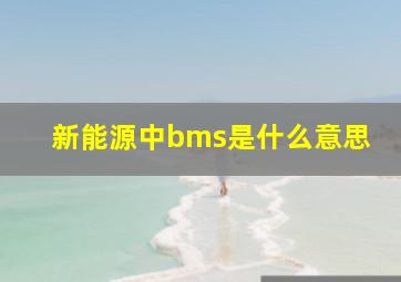 新能源中bms是什么意思