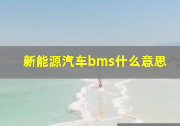 新能源汽车bms什么意思