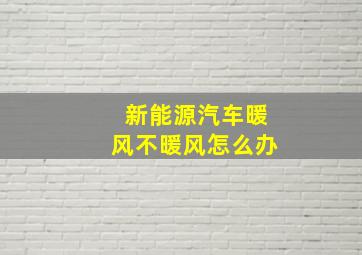 新能源汽车暖风不暖风怎么办