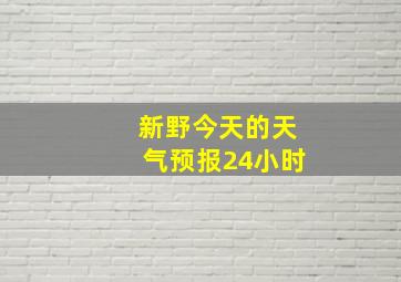 新野今天的天气预报24小时