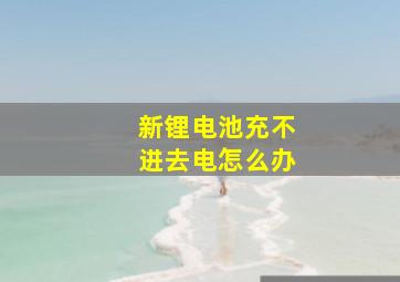 新锂电池充不进去电怎么办