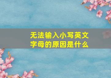 无法输入小写英文字母的原因是什么