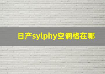 日产sylphy空调格在哪