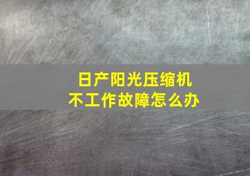 日产阳光压缩机不工作故障怎么办