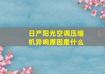 日产阳光空调压缩机异响原因是什么