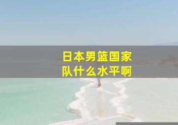 日本男篮国家队什么水平啊