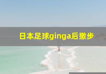 日本足球ginga后撤步