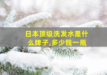 日本顶级洗发水是什么牌子,多少钱一瓶