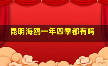 昆明海鸥一年四季都有吗