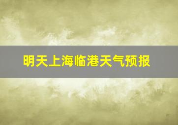 明天上海临港天气预报