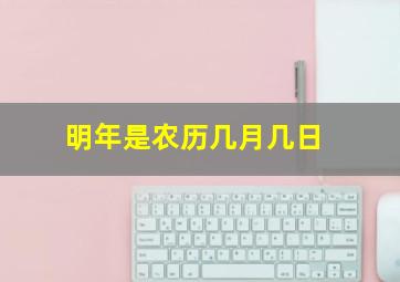 明年是农历几月几日