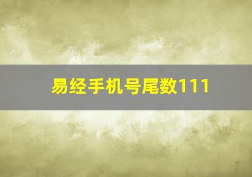 易经手机号尾数111