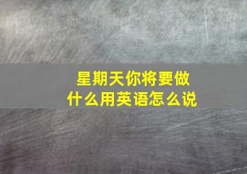 星期天你将要做什么用英语怎么说