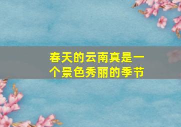 春天的云南真是一个景色秀丽的季节