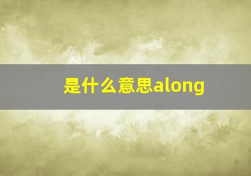 是什么意思along