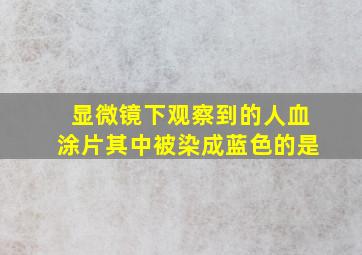 显微镜下观察到的人血涂片其中被染成蓝色的是