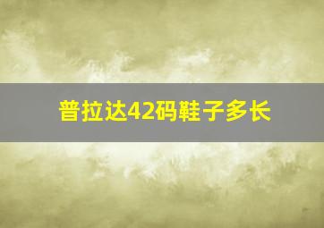 普拉达42码鞋子多长