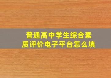 普通高中学生综合素质评价电子平台怎么填