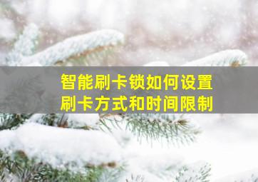 智能刷卡锁如何设置刷卡方式和时间限制