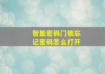 智能密码门锁忘记密码怎么打开