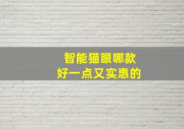 智能猫眼哪款好一点又实惠的