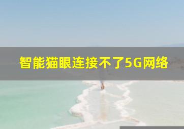 智能猫眼连接不了5G网络