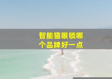 智能猫眼锁哪个品牌好一点