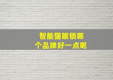 智能猫眼锁哪个品牌好一点呢