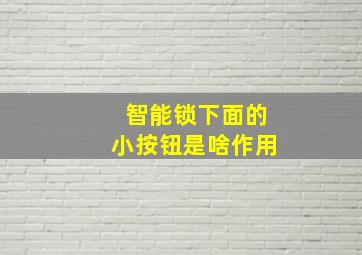 智能锁下面的小按钮是啥作用