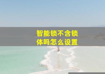 智能锁不含锁体吗怎么设置