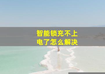 智能锁充不上电了怎么解决