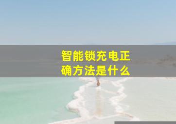 智能锁充电正确方法是什么