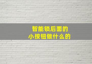 智能锁后面的小按钮做什么的