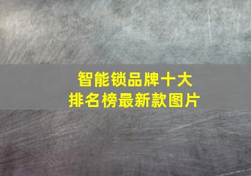 智能锁品牌十大排名榜最新款图片