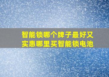 智能锁哪个牌子最好又实惠哪里买智能锁电池