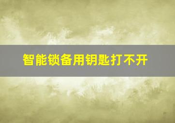 智能锁备用钥匙打不开