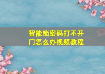 智能锁密码打不开门怎么办视频教程