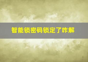 智能锁密码锁定了咋解