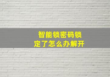 智能锁密码锁定了怎么办解开