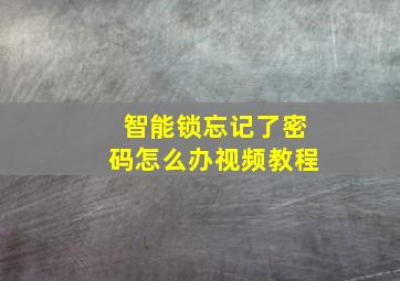 智能锁忘记了密码怎么办视频教程