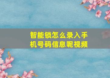 智能锁怎么录入手机号码信息呢视频