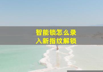 智能锁怎么录入新指纹解锁