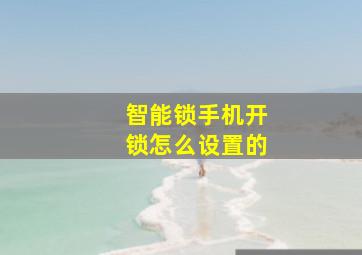 智能锁手机开锁怎么设置的