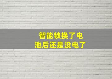 智能锁换了电池后还是没电了