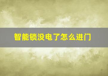 智能锁没电了怎么进门